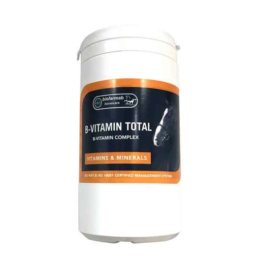 B-Vitamin Total 450 g