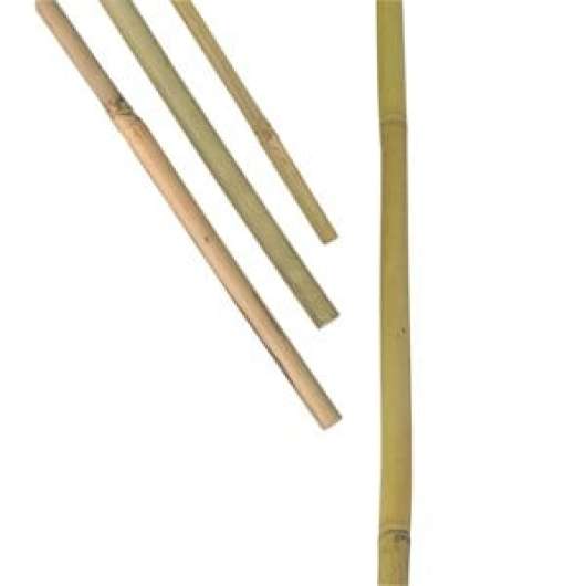 Bambukäpp Nelson Växtstöd 200 cm, 3-pack