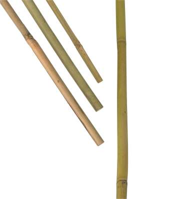 Bambukäpp Nelson Växtstöd, 5-pack 120 cm