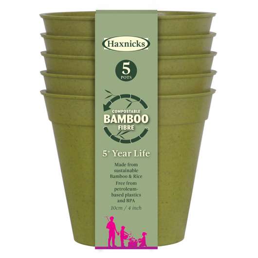 Bambukruka 10 cm salviagrön, 5-pack