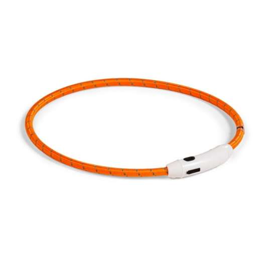 Basic LED-halsband till hund Nylon (Orange)