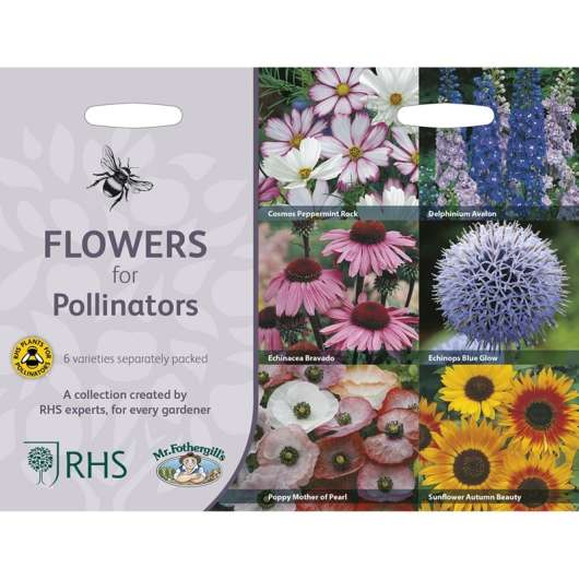 Blommor för pollinatörer 6 sorter