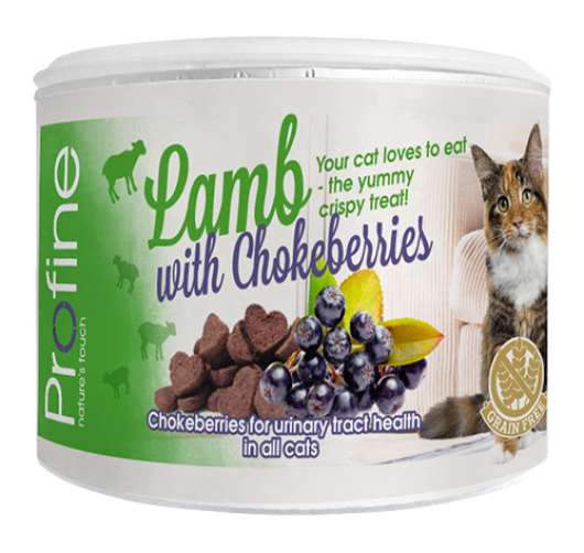 Cat Crunchy Snack Lamb & Chokeberries Berry