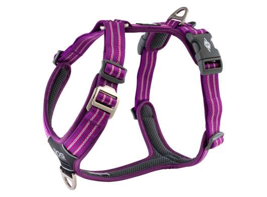 Comfort Walk Air Harness - Purple Passion / L