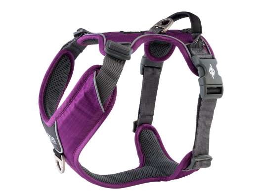 Comfort Walk Pro Harness - M / Purple Passion