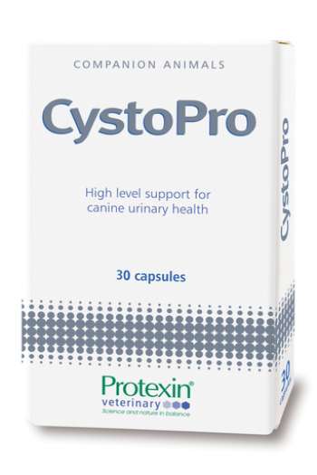 CystoPro - 120 kapslar