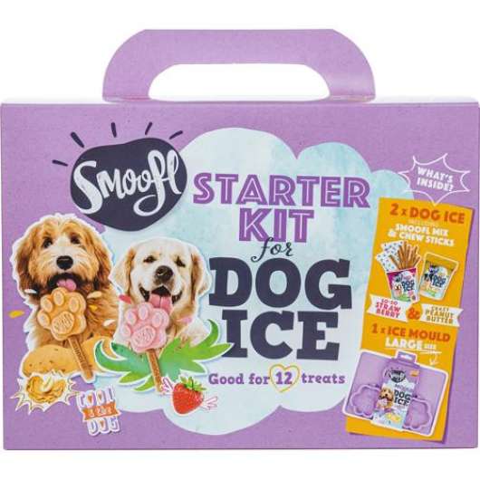 Dog Ice Cream Starter Kit - L