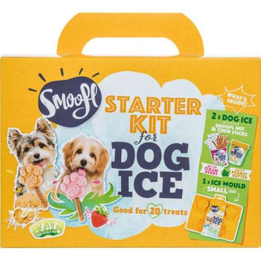 Dog Ice Cream Starter Kit - S