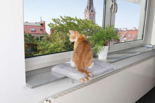 Fönsterbräda för katt - Fönsterbräda