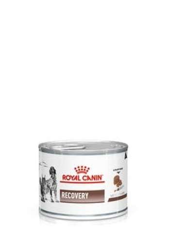 Gastrointestinal Recovery Ultra Soft Mousse In Can - 12 x 195 g
