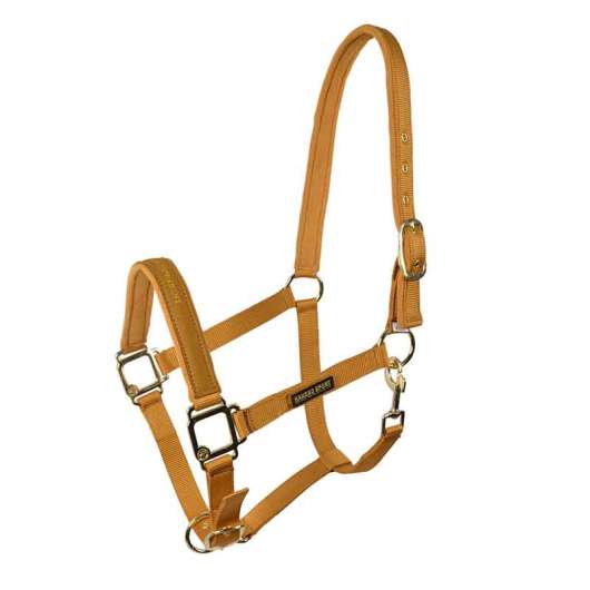 Grimma Hansbo Sport The Equestrian Life golden touch - Cob