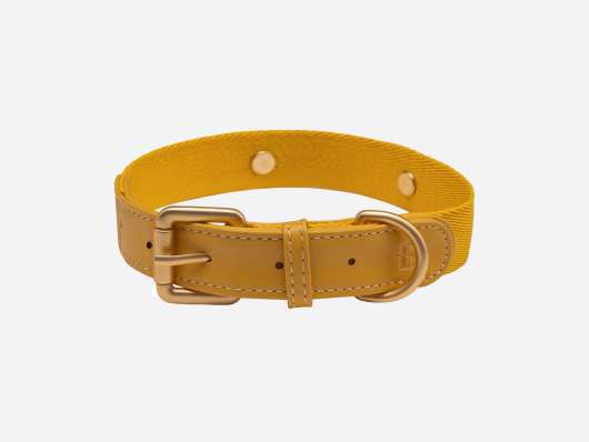 Konny Collar - XL / Golden Yellow