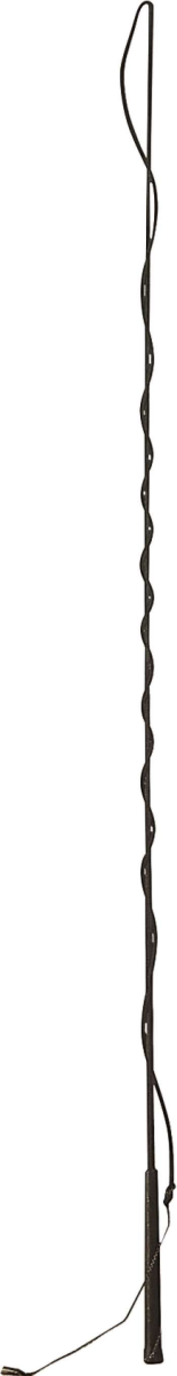 Longeringspiska Svart, 160 cm
