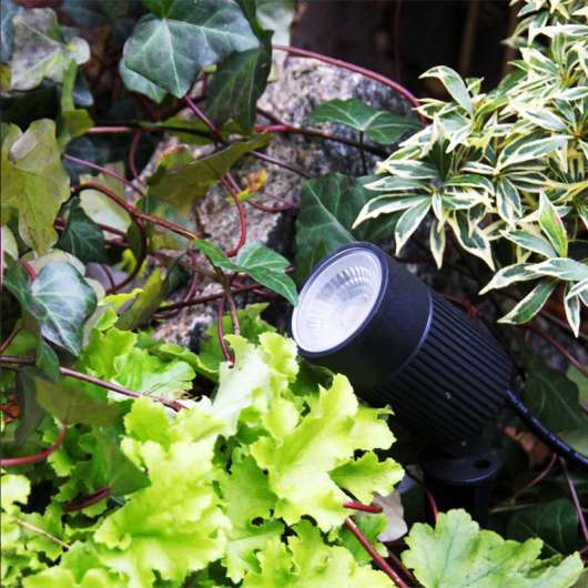 Medusa - LED Garden Plug & Play