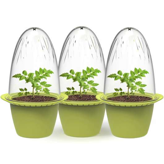 Minidrivhus, sommargrön 3-pack