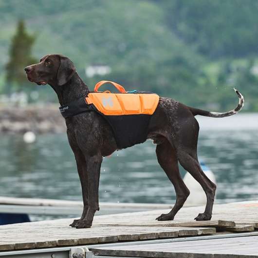 Non-Stop Dogwear Protector Flytväst till hund Orange & Svart (4)