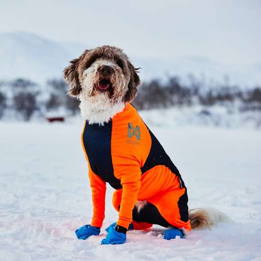 Non-stop Dogwear Protector Snow Hundoverall Hane Svart & Orange (M)