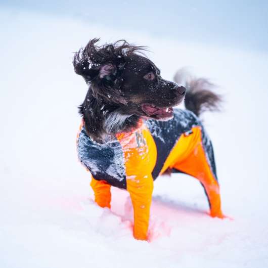 Non-Stop Dogwear Protector Snow Hundoverall Tik Svart & Orange (M)