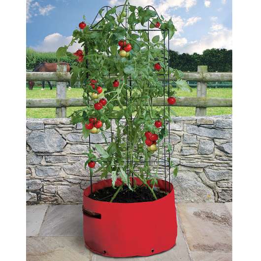 Odlingssäck för tomat med växtstöd
