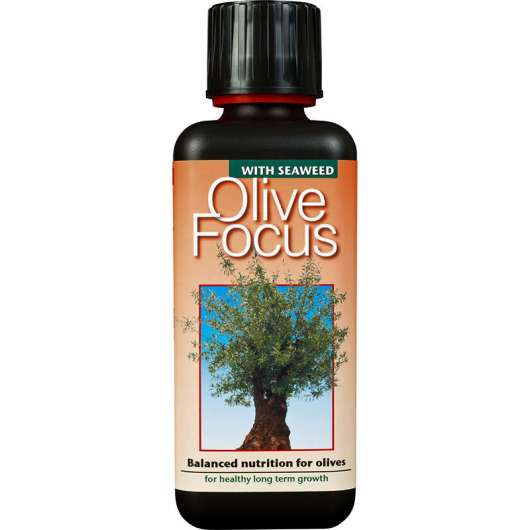 Olivnäring Olive Focus, 300 ml