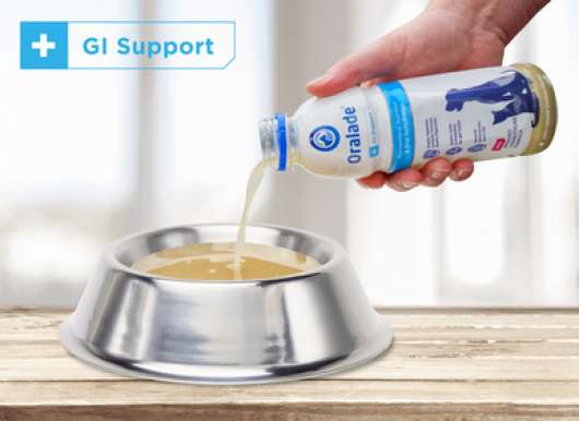 Oralade GI Support - 500 ml
