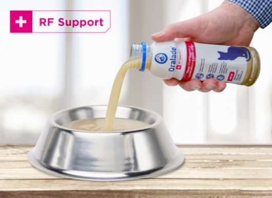 Oralade RF Support Cat - 330 ml