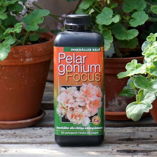 Pelargonnäring Pelargonium Focus, 1 liter