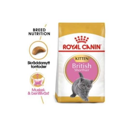 Royal Canin British Shorthair Kitten (2 kg)