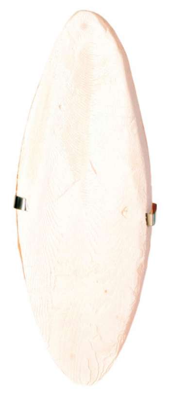 Sepiaskal med hållare - 16 cm