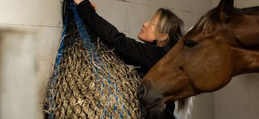 Slowfeeding Hönät till  Häst - 9,5 kg