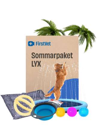 Sommarpaket LYX