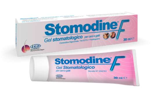 Stomodine F oral gel daglig användning - 30 ml