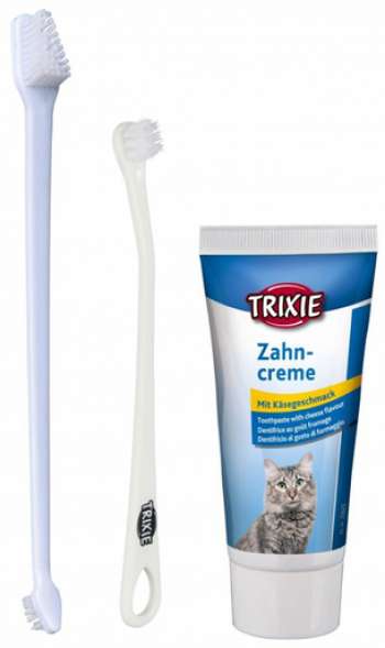 Tandvårdskitt med tandkräm och tandborste för katt - Tandvårdskitt för hund
