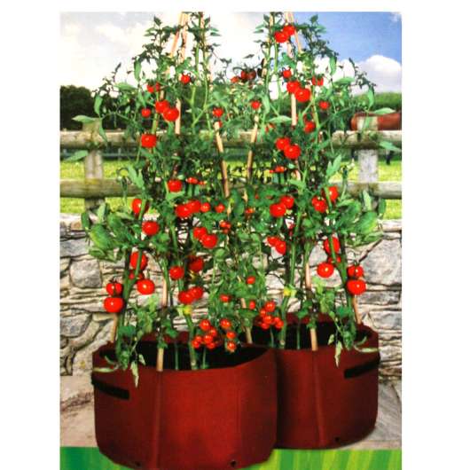 Tomato Patio Planter, 2-pack