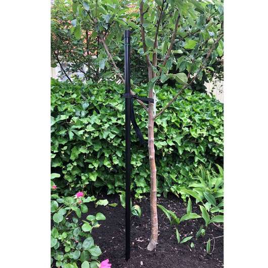 Trädstöd, svart 180 cm