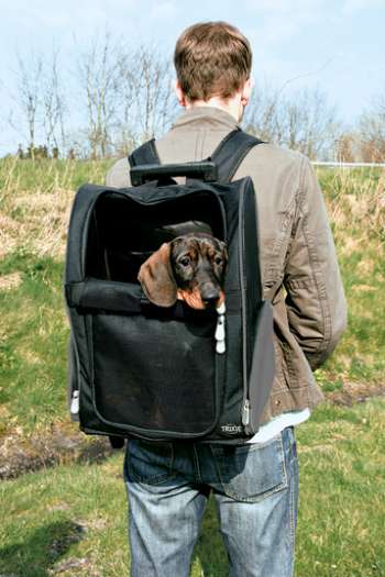 Transportväska för hund och katt - Väska