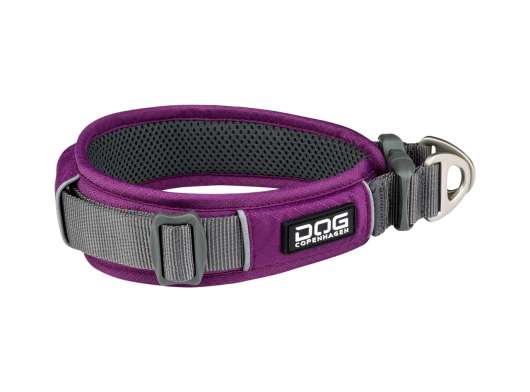 Urban Explorer Collar - L/XL / Purple Passion